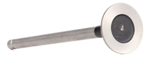 Valvulas De Escape Peugeot / Citroen / 206 1.6 16v / 307 1.6