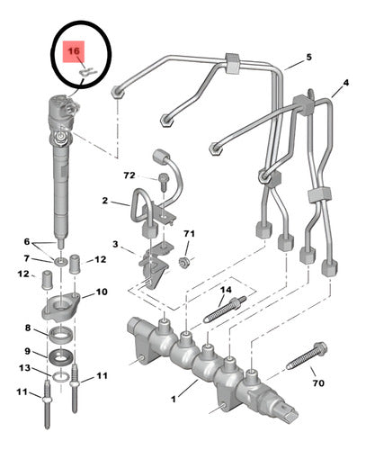 Seguro Grapa Inyector Manguera De Retorno Peugeot / Citroen