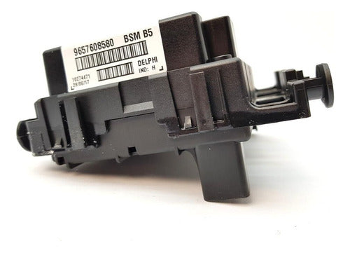 Caja De Fusible (bsm) B5 Peugeot/citroen/206/307/c2/c3/c5