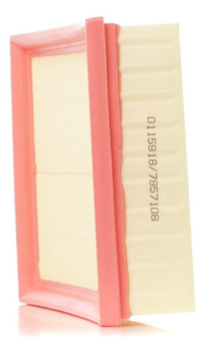 Filtro Aire Peugeot / 206 / 307 2.0 / Citroën C4 2002-2006