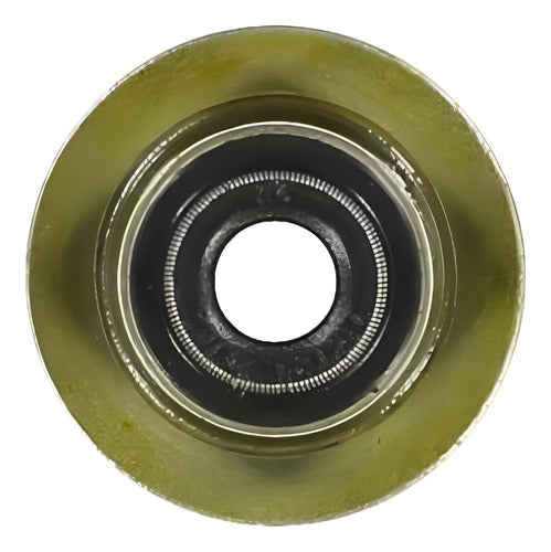 Reten De Valvula (juego) Peugeot / Citroen / Boxer Iii Puma