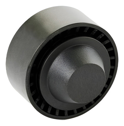Rodamiento Tensor Alternador(guia)peugeot/citroen/206/307/c3