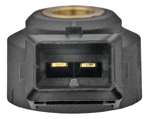 Sensor Detonación Captor Peugeot/citroen 206 1.4/306/406 2.0