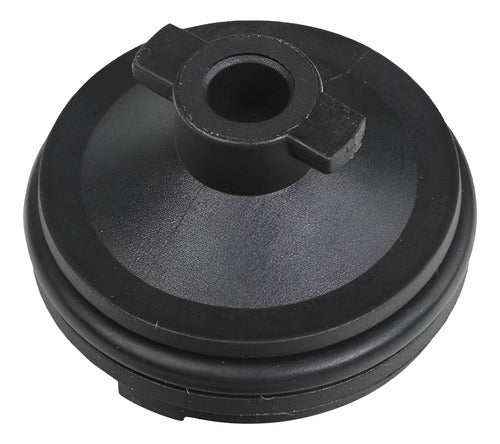Perno Tapon De Carter Peugeot / Citroen / Expert 4 2.0