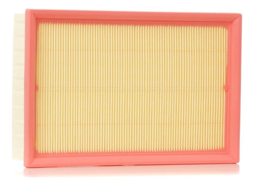 Filtro Aire Peugeot / 206 / 307 2.0 / Citroën C4 2002-2006