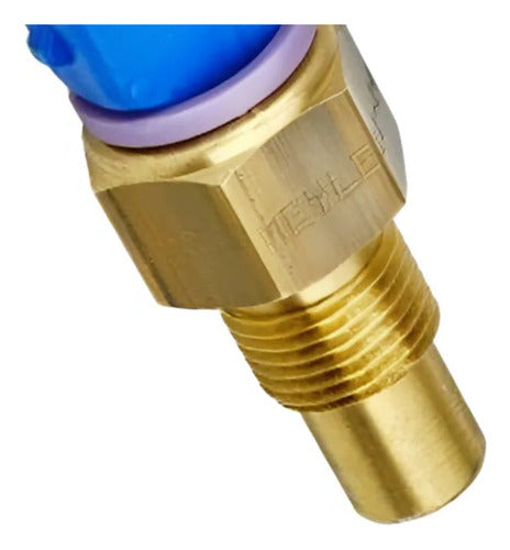 Sensor Temperatura Peugeot/citroën/206/306/berlingo 1.4 Ben